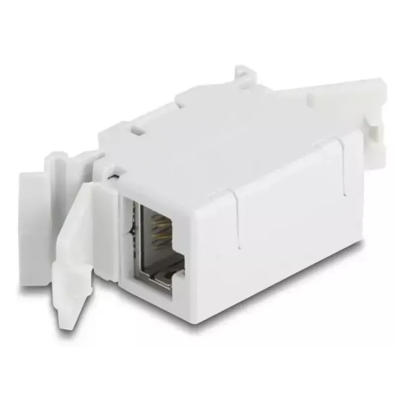 DeLOCK 90768 võtmemoodul Lame Hall RJ-45