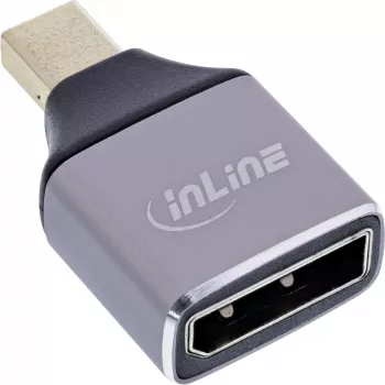 InLine 17291C kaabli soo muutmise adapter DisplayPort Mini DisplayPort hall, must