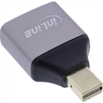 InLine 17291C kaabli soo muutmise adapter DisplayPort Mini DisplayPort hall, must