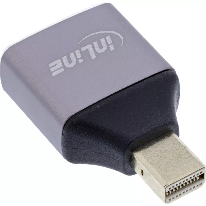 InLine 17291C kaabli soo muutmise adapter DisplayPort Mini DisplayPort hall, must