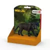 schleich WILD LIFE Must panter, 3 a, Džungel, Metsloomad / seiklusmänguasjad, Mitmevärviline, Plastik