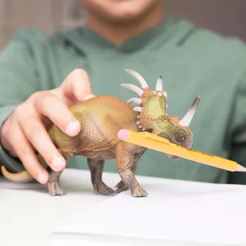 schleich Dinosaurused Triceratops, 4 a, Maa vallutamine, Dinosaurused ja vulkaan, Mitmevärviline, Plast, 1 tk