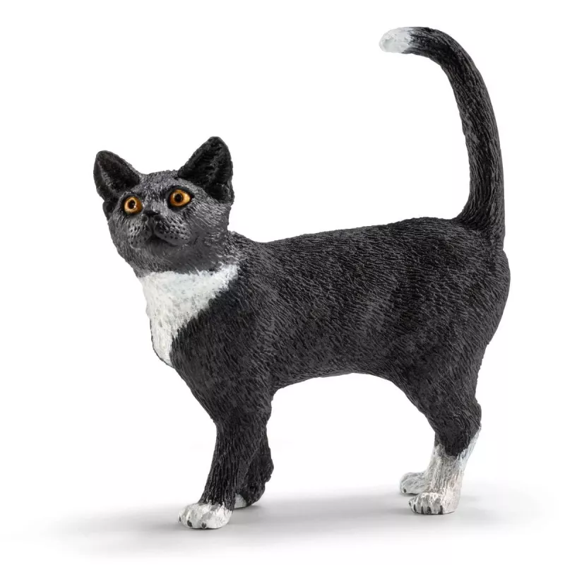 Mängukomplekt Schleich FARM WORLD Mänguaeg armsatele kassidele
