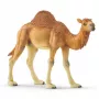 schleich WILD LIFE Dromedar. Soovitatav vanus (min): 3 a, Toote värv: Mitmevärviline, Materjal: Plastik. Toodete arv komplektis: 1 tk