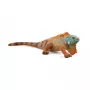 Schleich WILD LIFE Iguaan Mitmevärviline 14854 Soovitatav vanus alates 3 aastat