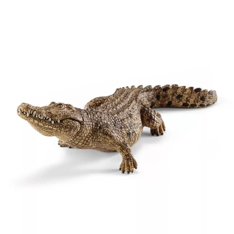 schleich WILD LIFE krokodill, 3 a, Safari, Metsloomad / seiklusmänguasjad, Mitmevärviline, Plastik, 1 tk
