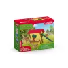 Metsloomade komplekt Schleich 42658S Värvilised söötmistarvikud