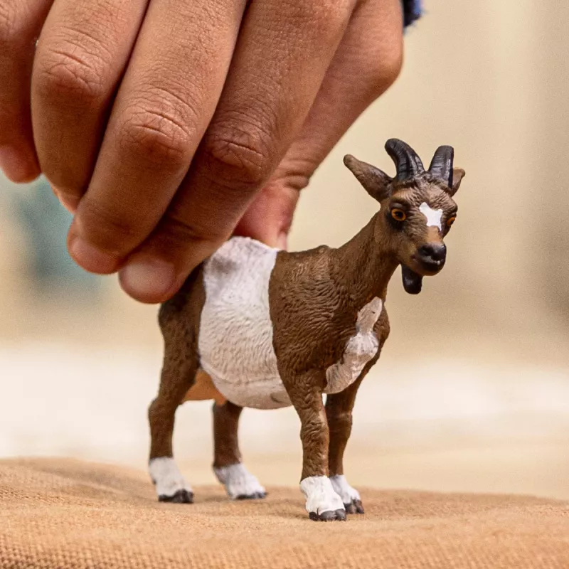 schleich TALU MAAILM Kits, 3 a, Talupidamine, Põllumaa loomad / talumänguasjad, Mitmevärviline