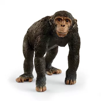 schleich WILD LIFE Šimpans, 3 a, Mitmevärviline