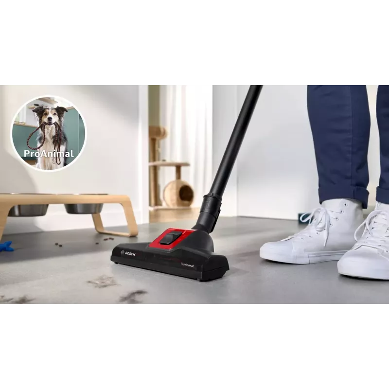 Bosch BGB41PET1 tolmuimeja 4 L silindertolmuimeja kuivpuhastus 700 W tolmukott