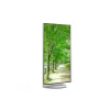 Sharp MultiSync EA272U arvutimonitor 68,6 cm (27 tolli) 3840 x 2160 pikslit 4K Ultra HD LCD valge