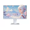 JAPANNEXT JN-I238FHD120F-HSP-W arvutimonitor 60,5 cm (23,8 inch) 1920 x 1080 pikslit Full HD LCD valge