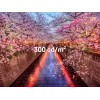 JAPANNEXT JN-I238FHD120F-HSP-YE arvutimonitor 60,5 cm (23,8 tolli) 1920 x 1080 pikslit Full HD LCD kollane