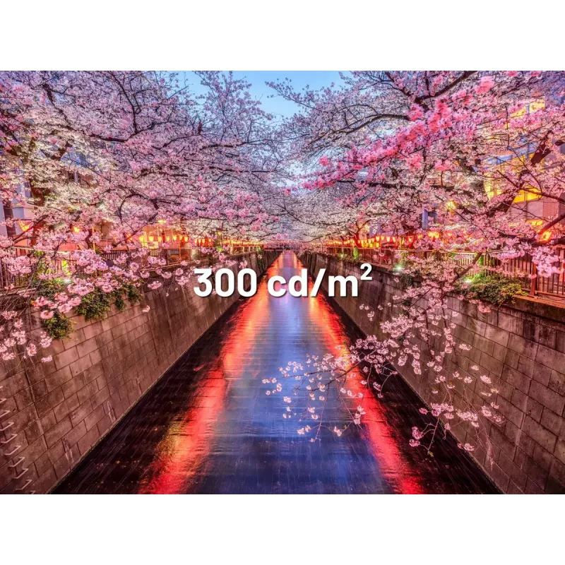 JAPANNEXT JN-I238FHD120F-HSP-YE arvutimonitor 60,5 cm (23,8 tolli) 1920 x 1080 pikslit Full HD LCD kollane