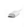 Philips TAE5008WT/00 kõrvaklapid/peakomplekt Juhtmega kõrvasisesed Kõned/muusika USB-USB-C Valge