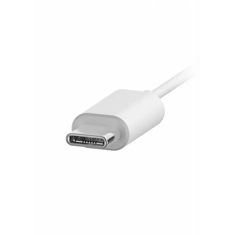 Philips TAE5008WT/00 kõrvaklapid/peakomplekt Juhtmega kõrvasisesed Kõned/muusika USB-USB-C Valge