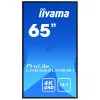 Digitaalne infotahvel lameekraan IIYAMA LH6552UHS-B1 64.5 tolli IPS 4K 3840x2160 500 cd/m² Android 8.0 24/7 Must