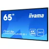 Digitaalne infotahvel lameekraan IIYAMA LH6552UHS-B1 64.5 tolli IPS 4K 3840x2160 500 cd/m² Android 8.0 24/7 Must