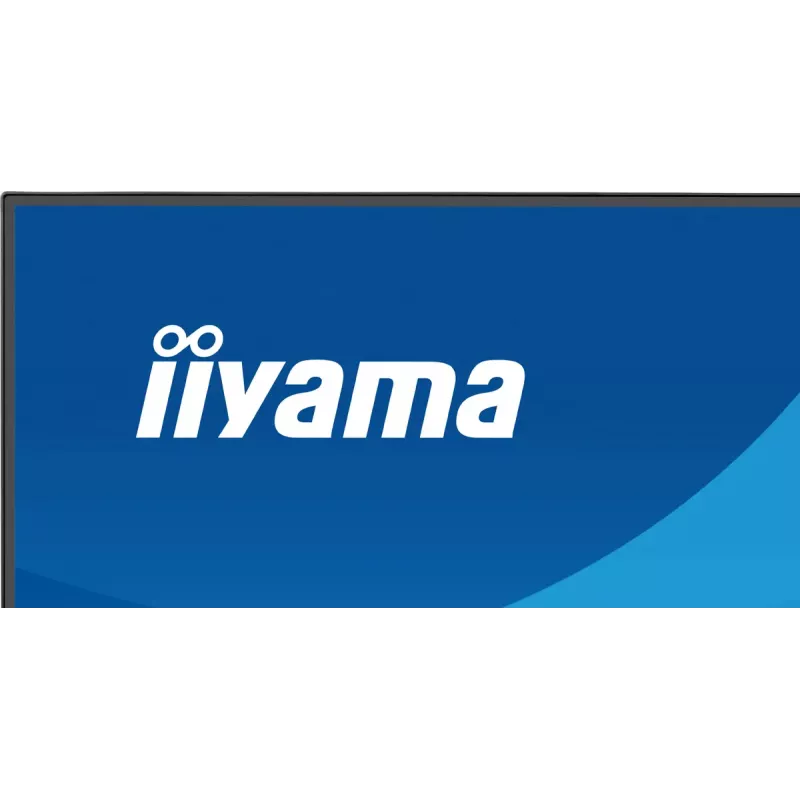 Monitor IIYAMA ProLite X2491HS-B1 23,8 tolli (60,5 cm) Full HD IPS LCD, 1920×1080, 178° vaatenurgad, matt, sisseehitatud kõlarid, VESA, must