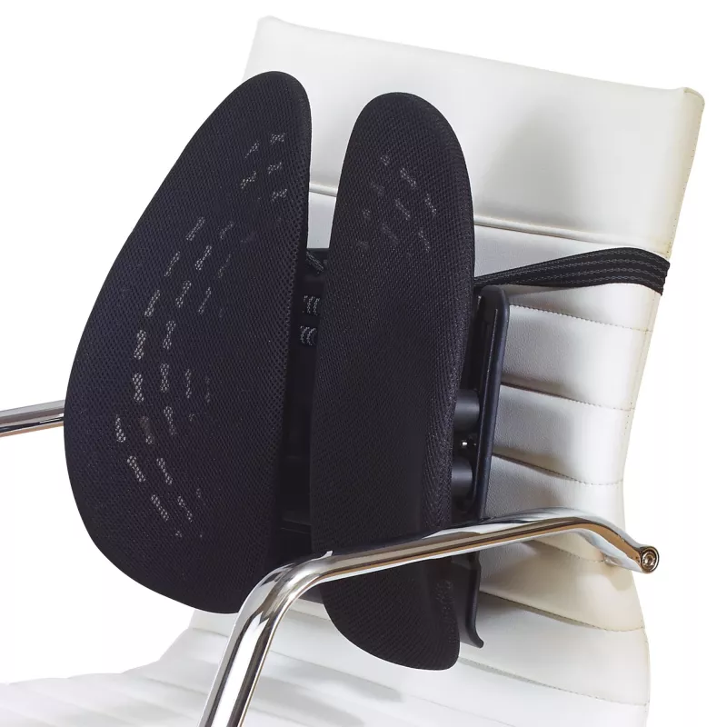 Võrgust seljatugi Kensington SmartFit Conform