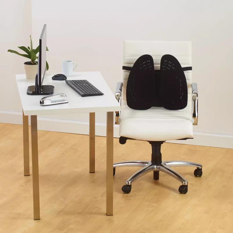 Võrgust seljatugi Kensington SmartFit Conform