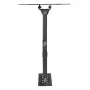 Seinakinnitus MACLEAN MC-700N VESA 200x200 23–43-tollistele ekraanidele, max 30 kg, must