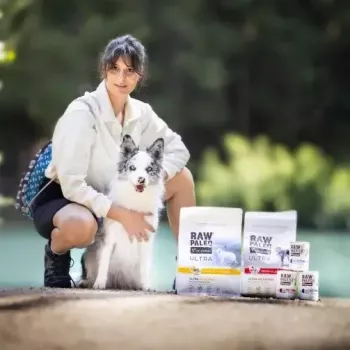 Märg kutsikatoit VETEXPERT RAW PALEO Puppy Monoprotein Cod 400 g, teraviljavaba, juunioridele, konserv