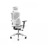 Ergonoomiline kontoritool Diablo Chairs V-Basic valge-hall — reguleeritav kõrgus ja kallutus, käetoed, nimmetugi