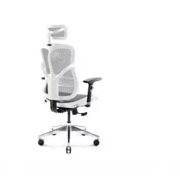 Ergonoomiline kontoritool Diablo Chairs V-Basic valge-hall — reguleeritav kõrgus ja kallutus, käetoed, nimmetugi