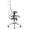 Ergonoomiline kontoritool Diablo Chairs V-Basic valge-hall — reguleeritav kõrgus ja kallutus, käetoed, nimmetugi
