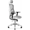 Ergonoomiline kontoritool Diablo Chairs V-Basic valge-hall — reguleeritav kõrgus ja kallutus, käetoed, nimmetugi