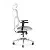 Ergonoomiline kontoritool Diablo Chairs V-Basic valge-hall — reguleeritav kõrgus ja kallutus, käetoed, nimmetugi