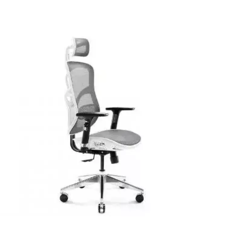 Ergonoomiline kontoritool Diablo Chairs V-Basic valge-hall — reguleeritav kõrgus ja kallutus, käetoed, nimmetugi