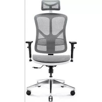 Ergonoomiline kontoritool Diablo Chairs V-Basic valge-hall — reguleeritav kõrgus ja kallutus, käetoed, nimmetugi