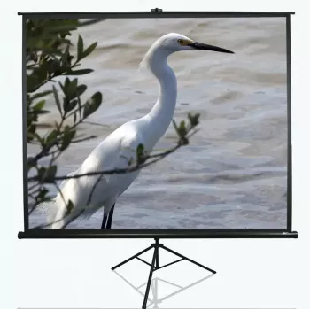Kolmjalaga projektsioonekraan Elite Screens T100UWV1 2,54 m (100 tolli) 4:3