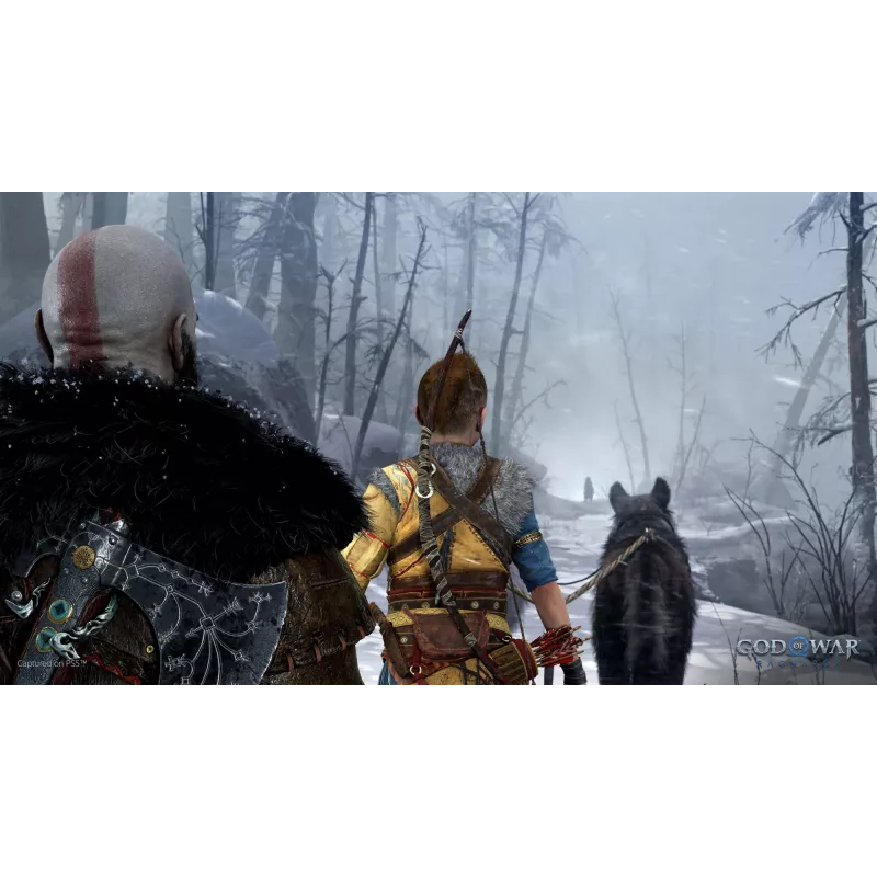 Sony God of War Ragnarök, PlayStation 5, M (Täiskasvanutele), Füüsiline andmekandja