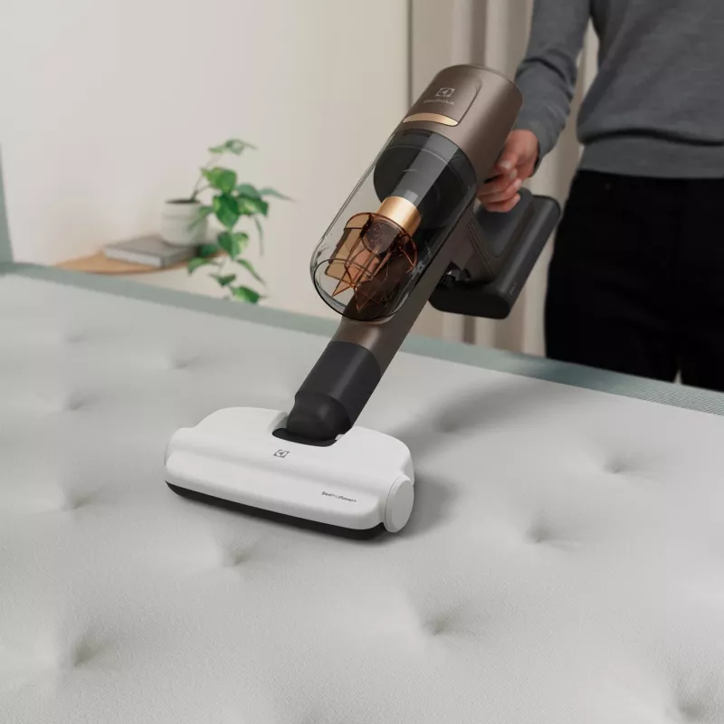 Harja Electrolux ZE149 käeshoitava tolmuimeja jaoks, valge, varuharjapea