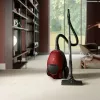 Electrolux PD82-ANIMA 3,5 L silindertolmuimeja Kuiv 600 W Tolmukott