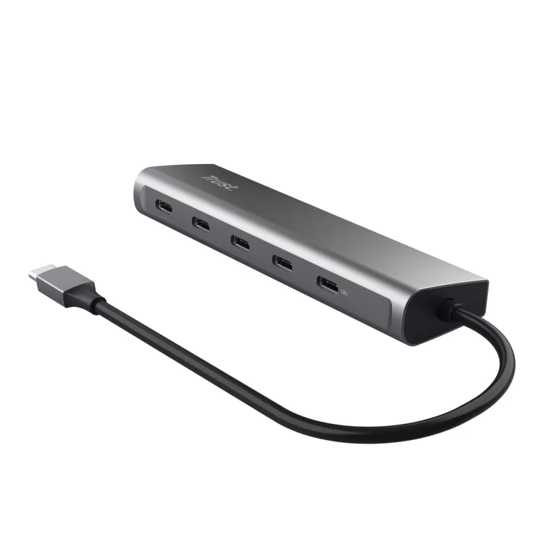 Trust Halyx USB 3.2 Gen 1 (3.1 Gen 1) USB-C Hõbedane