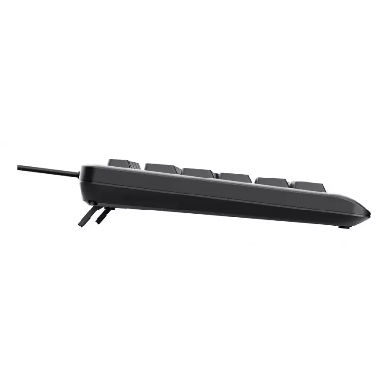 Juhtmega täissuuruses klaviatuur TRUST Primo Illuminated USB QWERTZ Saksa, 104 klahvi, must, 1,8 m kaabel