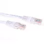 ACT valge 3-meetrine U/UTP CAT6 patch-kaabel RJ45-pistikute