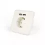 Pistikupesa 2 x USB EnerGenie EG-ACU2A2-01