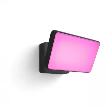 Nutikas seinavalgusti Philips Hue Discover Outdoor Floodlight LED Must 24V