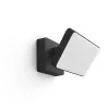 Nutikas seinavalgusti Philips Hue Discover Outdoor Floodlight LED Must 24V