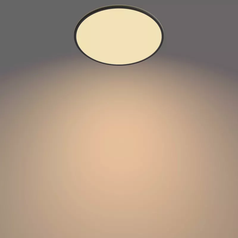 Laevalgusti Philips Functional Super õhuke 36 W LED Must Ümar