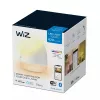 WiZ nutivalgustus Nutilamp Wi-Fi/Bluetooth 9 W