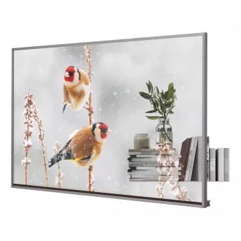 LG 55EW5P-M Signage Display 139.7 cm (55 inch) OLED 600 cd/m² Full HD Silver Touchscreen 18/7