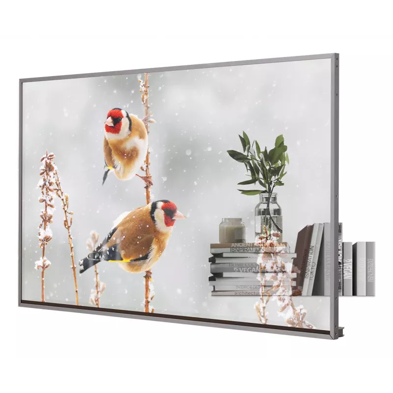 LG 55EW5P-M Signage Display 139.7 cm (55 inch) OLED 600 cd/m² Full HD Silver Touchscreen 18/7