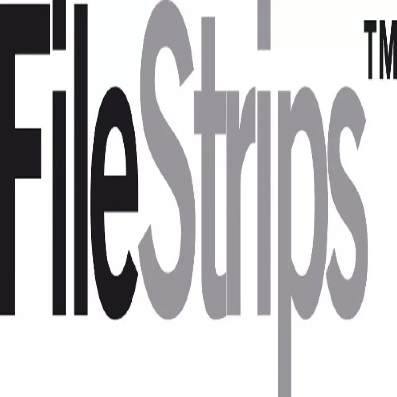 GBC CombBind PVC File Strips (100), valge, polüvinüülkloriid, 237 g, 100 tk, Egiptus
