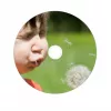 Verbatim 43521 tühi DVD 4.7 GB DVD-R 10 tk